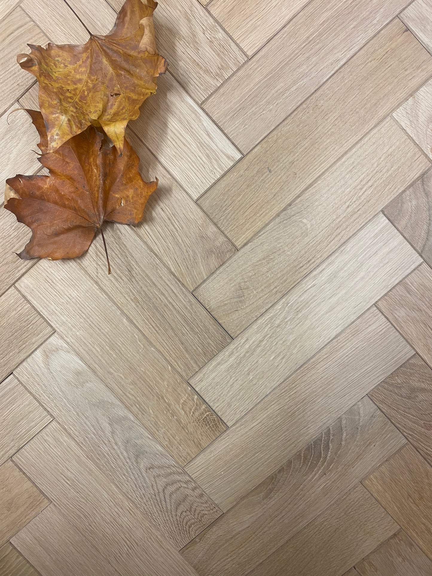 SAMPLE Parquet - solid oak unfinished (m2)