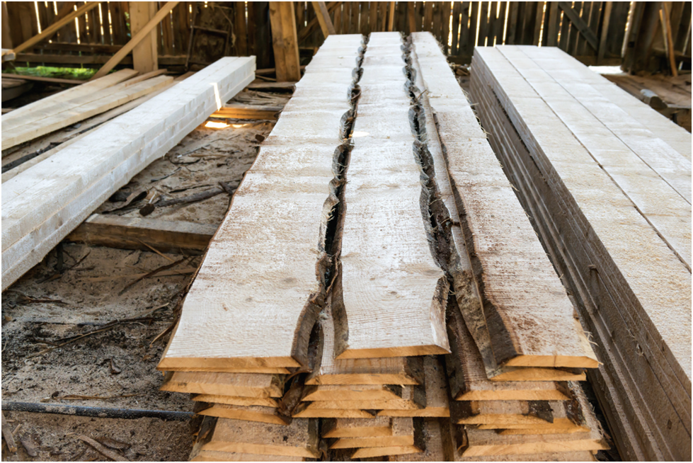 The Environmental Impact of Wood Flooring: Sustainable Options and Practices